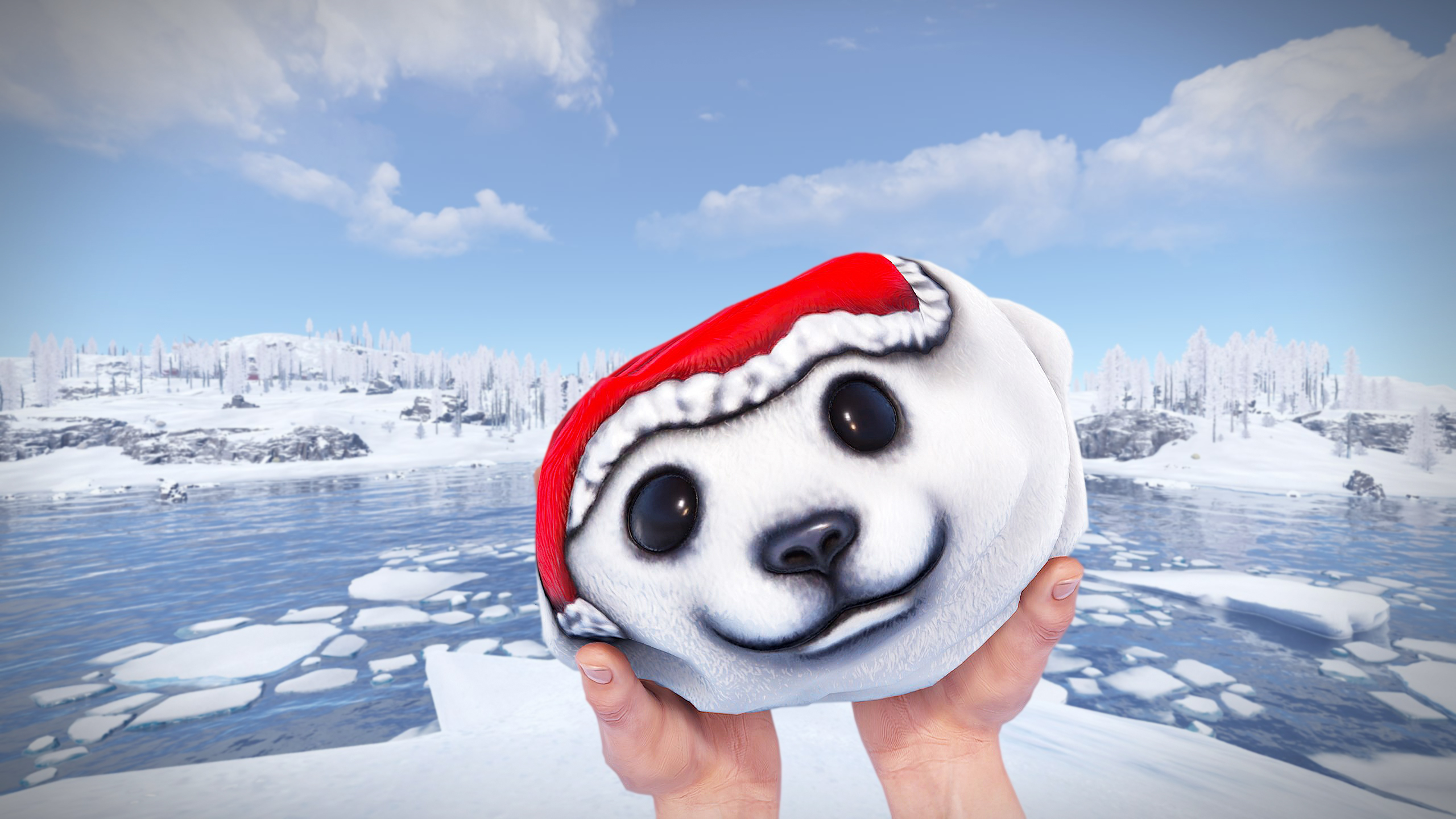 Polar Bear Rock