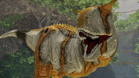 Copperband Carno