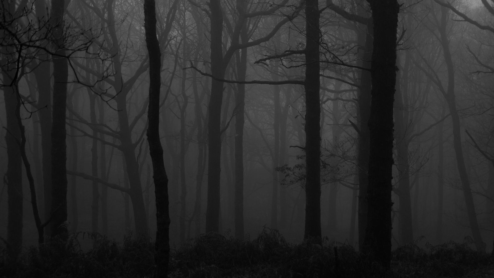 Silent Hill - Theme Of Laura + Foggy Forest