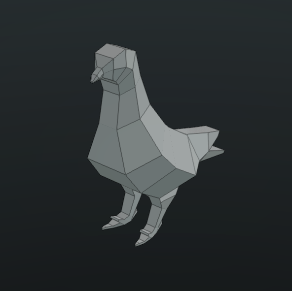 pigeon