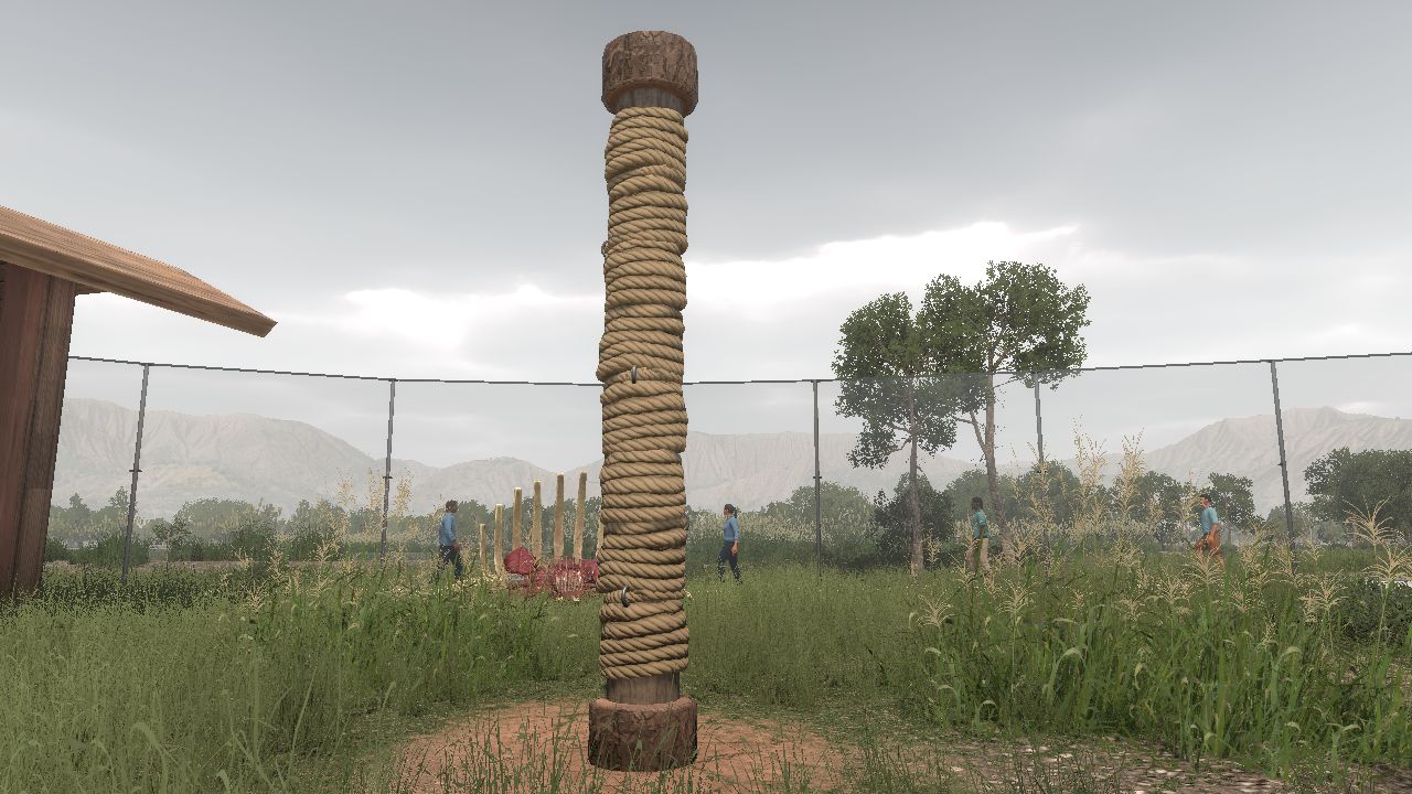 Cat Scratching Post