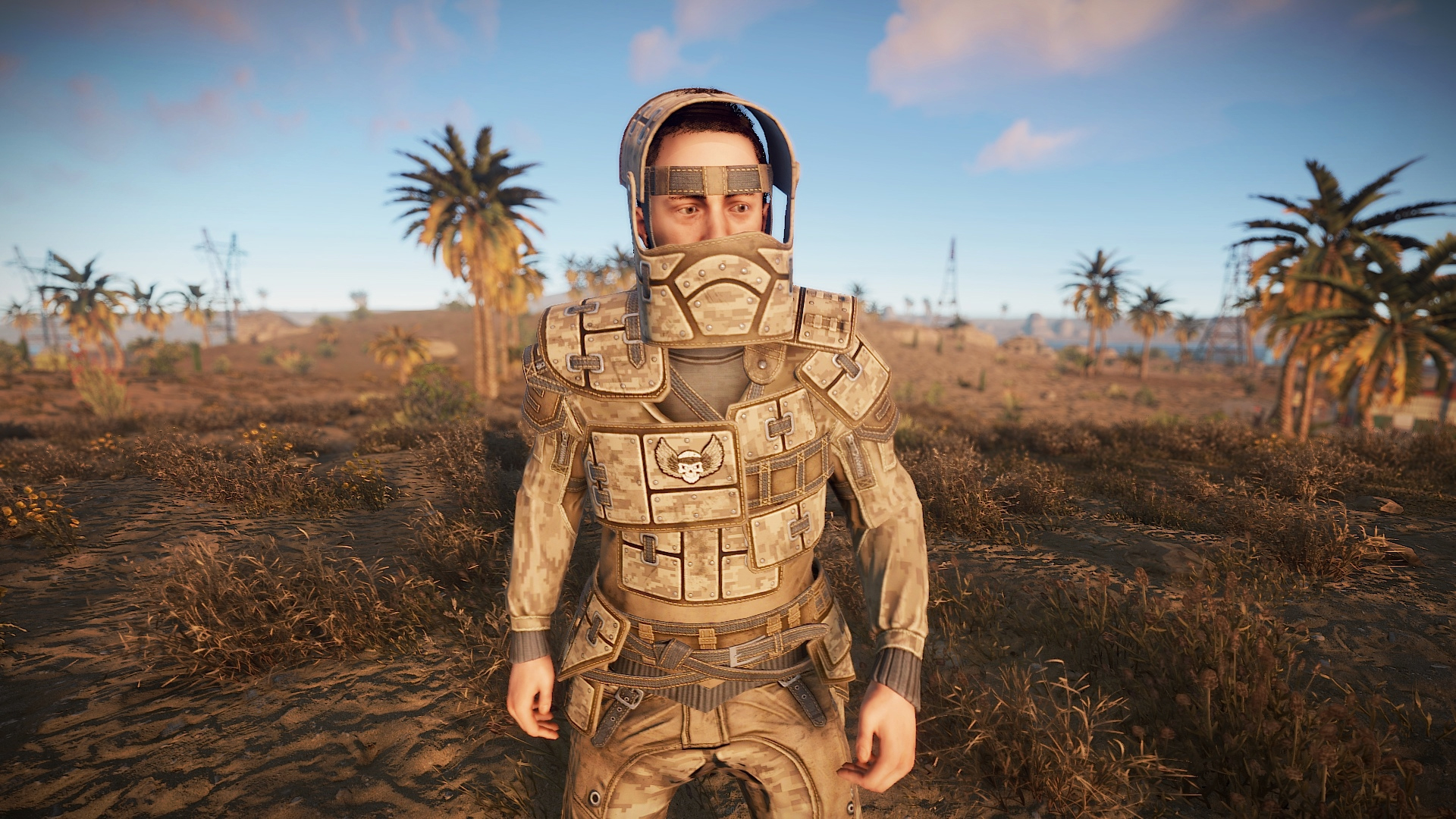 Desert Raiders Roadsign Vest