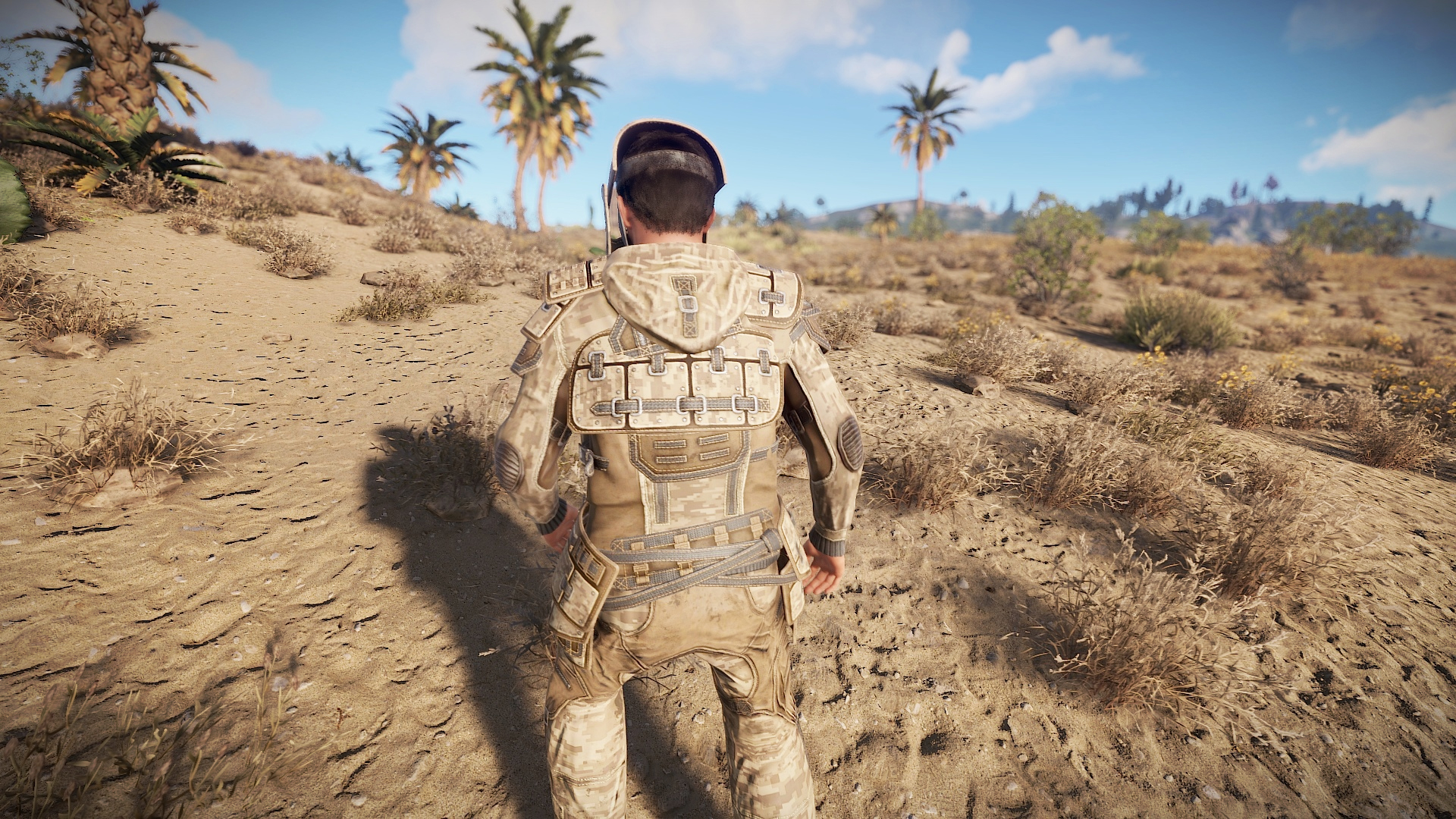 Desert Raiders Roadsign Pants