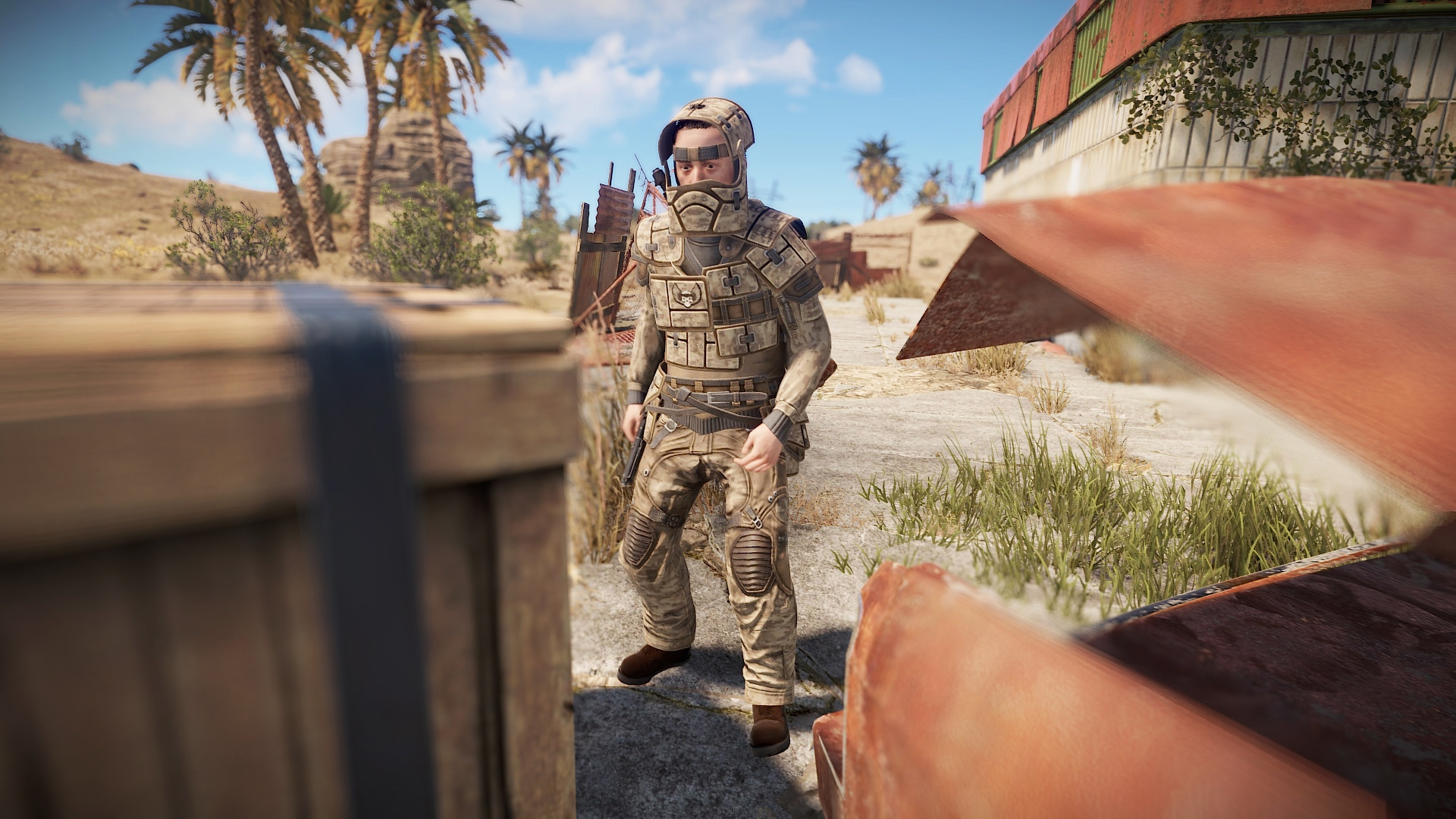 Desert Raiders Roadsign Pants