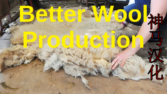 Better Wool Production_zh mod preview for RimWorld
