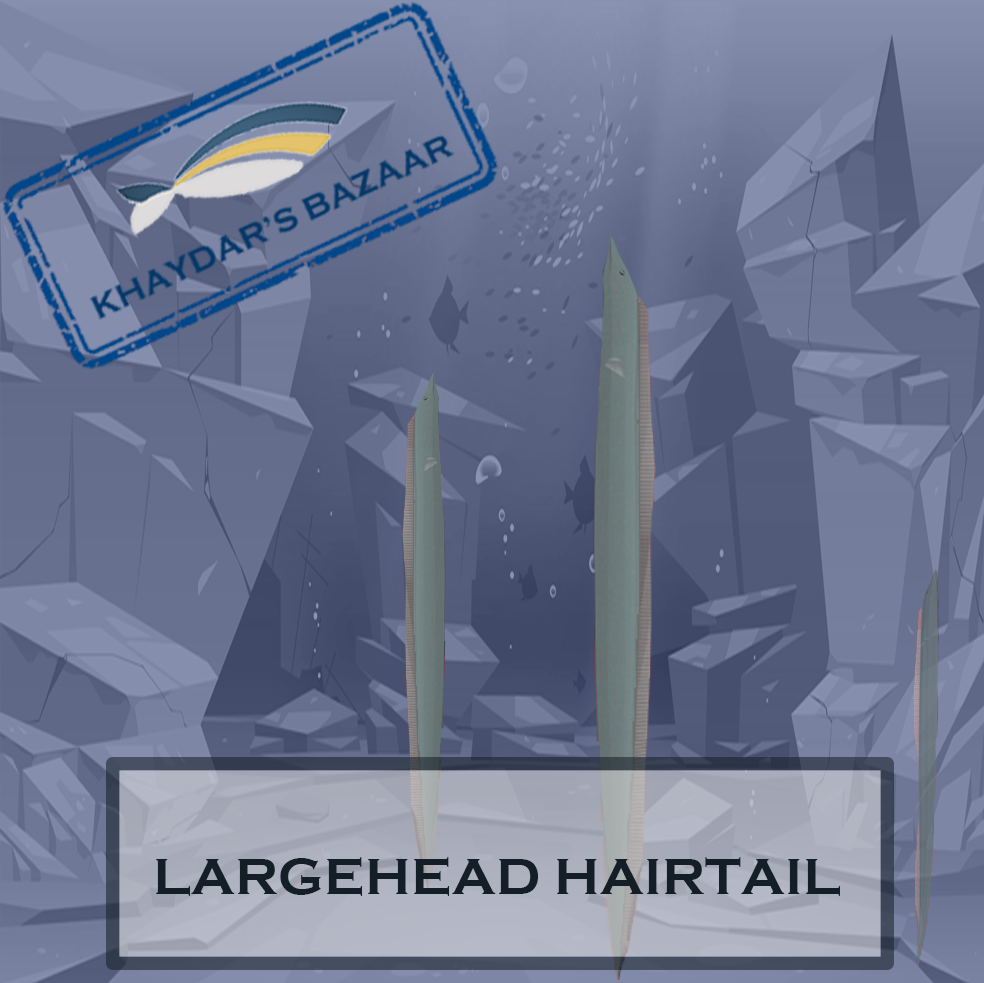 Khaydar's Bazaar - Largehead Hairtail