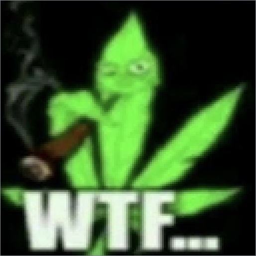wtf weed preview
