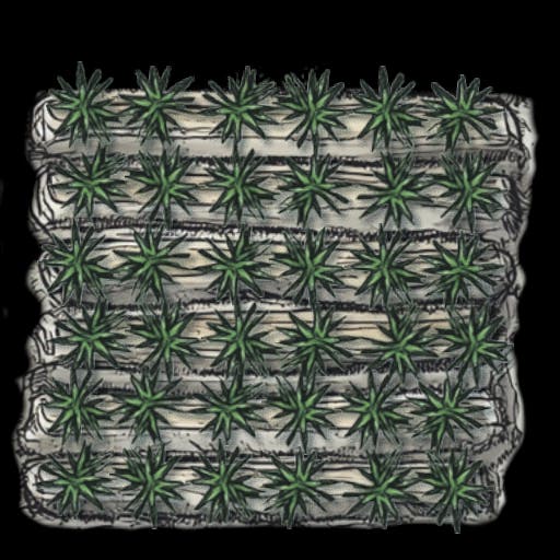 FarmPlots_03