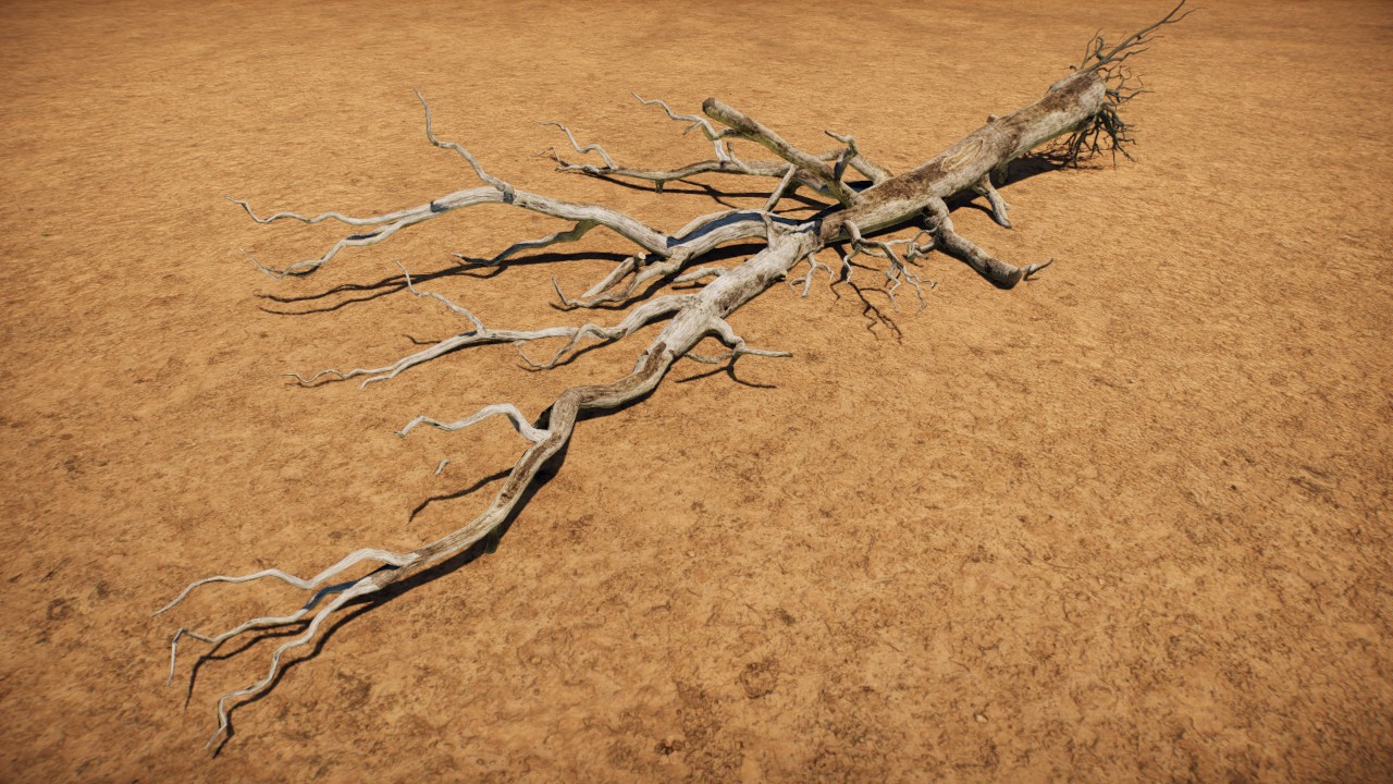 Fallen tree 1