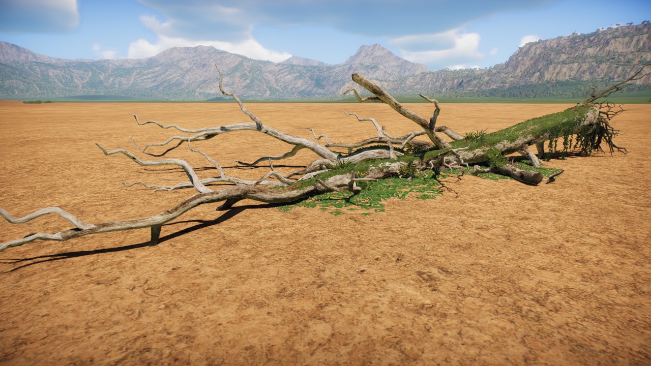 fallen tree 2
