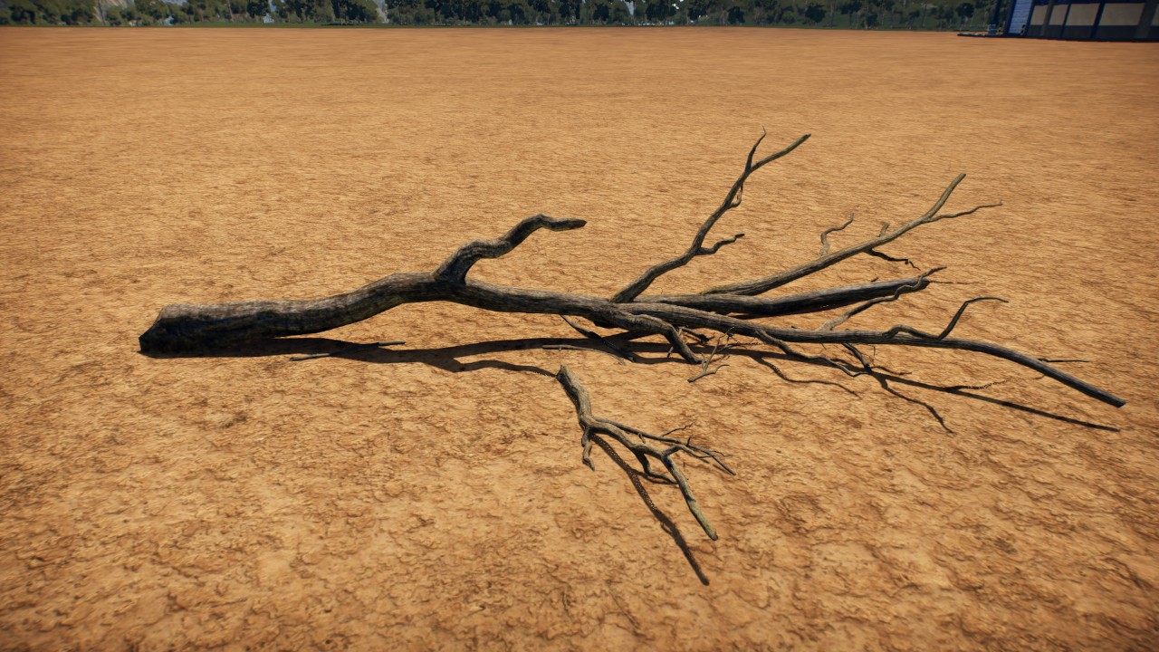 Fallen tree 3