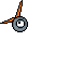 bird(beta)