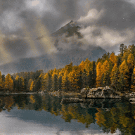 forest reflection in the lake | SalyutSash preview