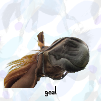 Horselessness
