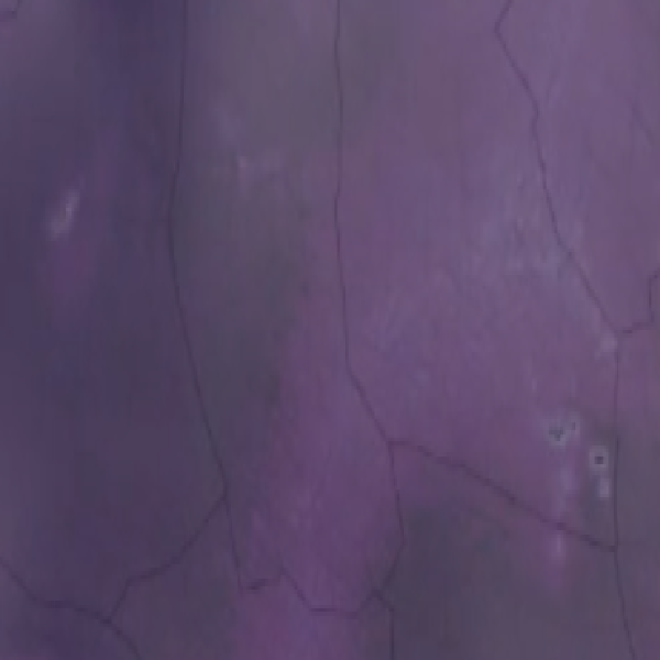 Purple Tinted Water