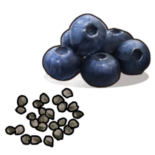 Blueberries Seed