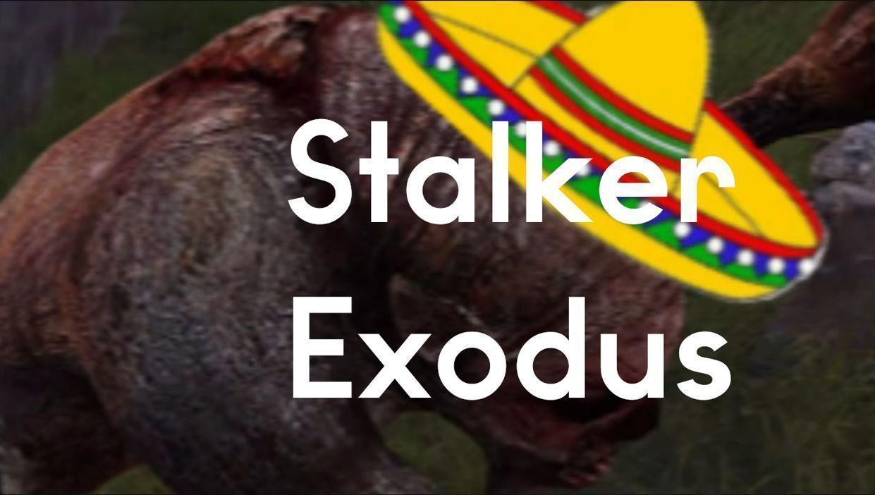 STALKER Exodus - sGunplay