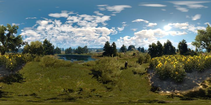 The Witcher 3 Sunflowers