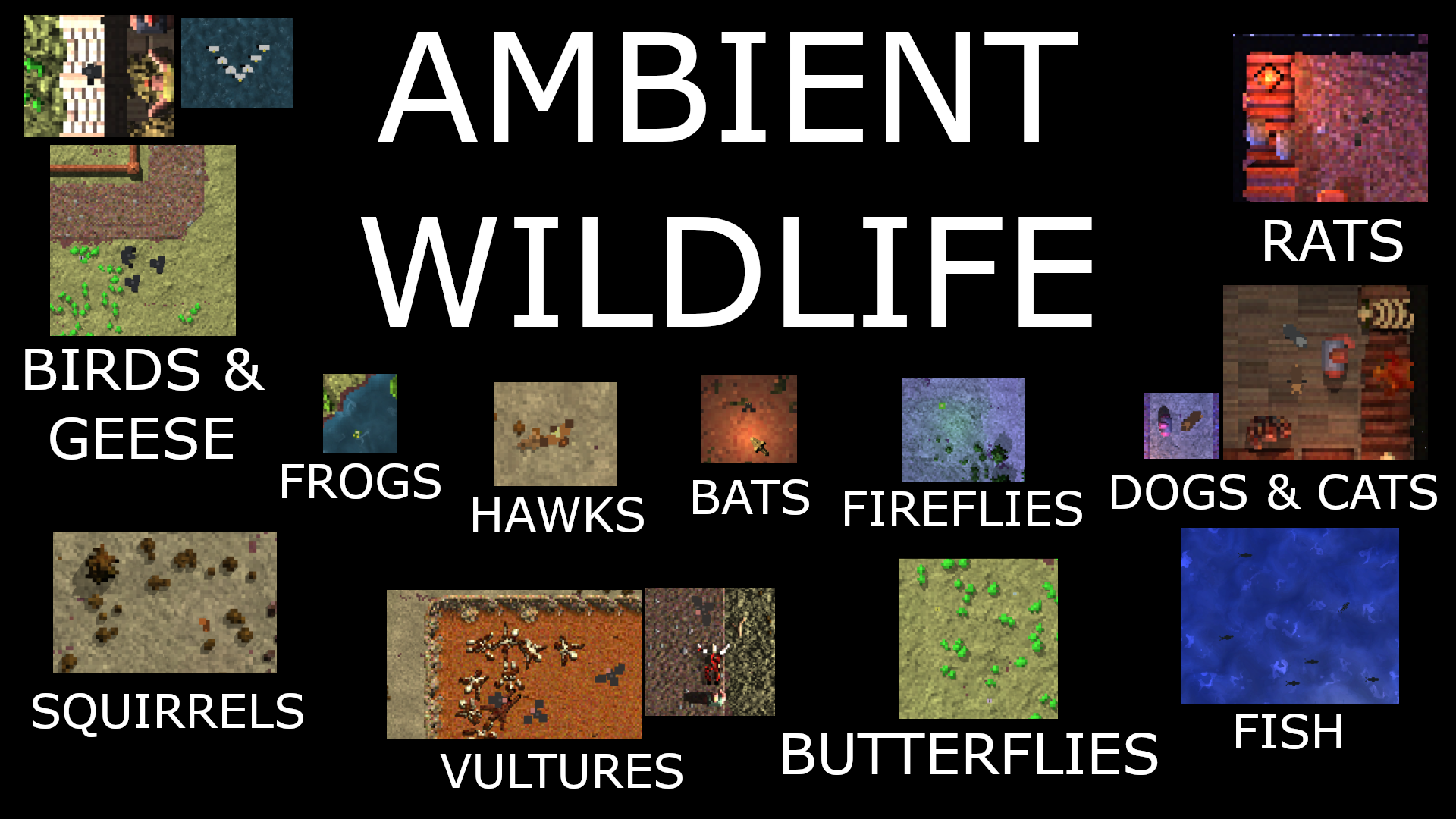 Ambient Wildlife
