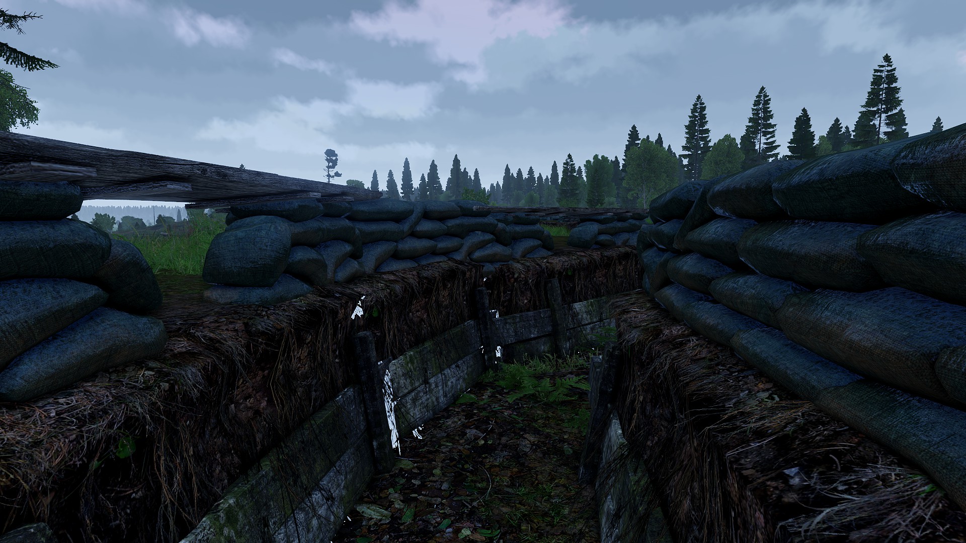 Detailed Trenches