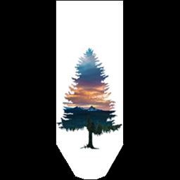 Royal Pine