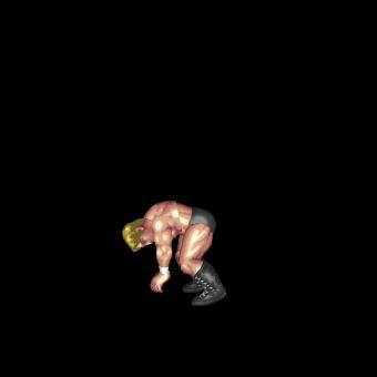 Kabuki Thrust Kick