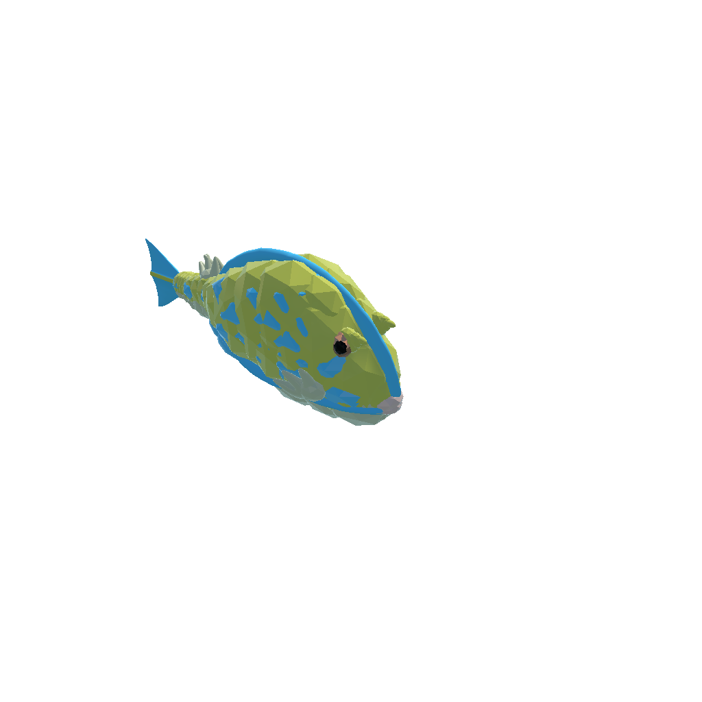 Acanthostracion quadricornis