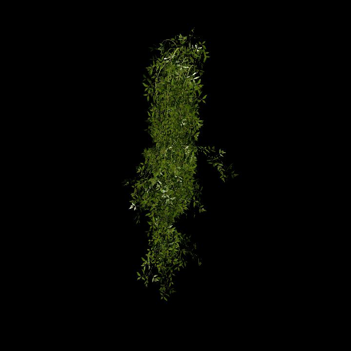 Hanging plants_06
