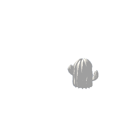White Ceramic Cactus Short