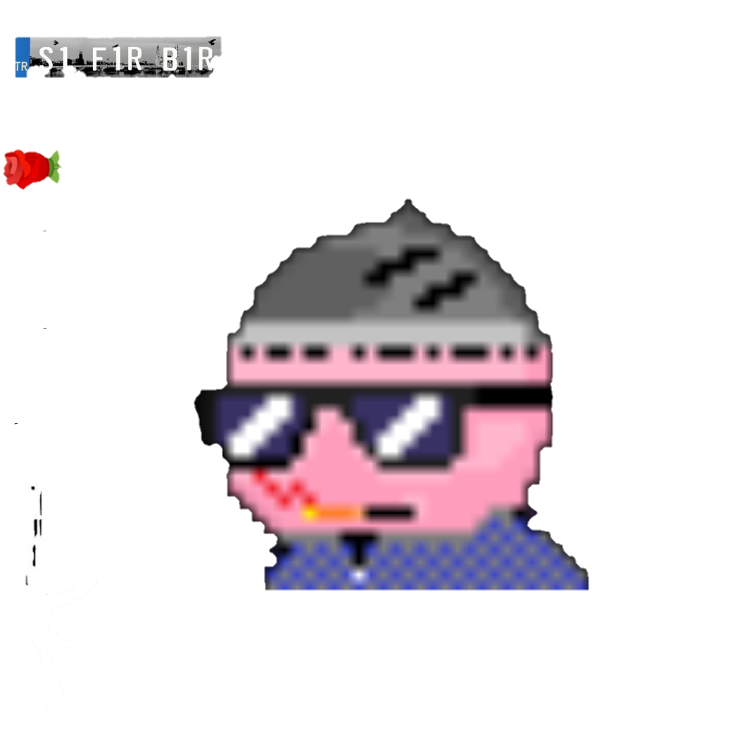 S1F1R B1R