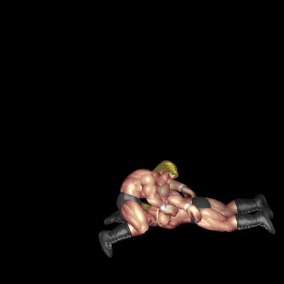 Double Arm Facebuster Combo
