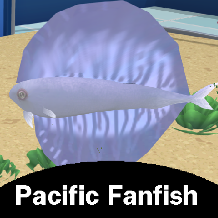 Pacific Fanfish