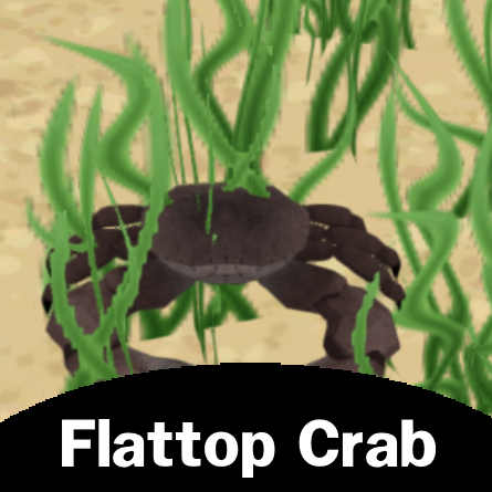 Flattop Crab