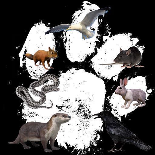 Ambient Animals Pack