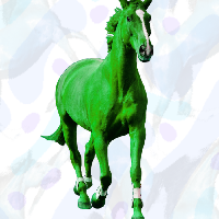 green horse adventures