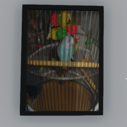 Dean The Parakeet Photo