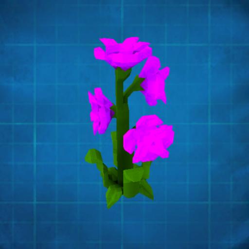Colchicum