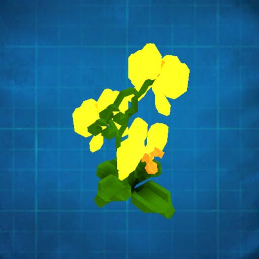 Orchidaceae