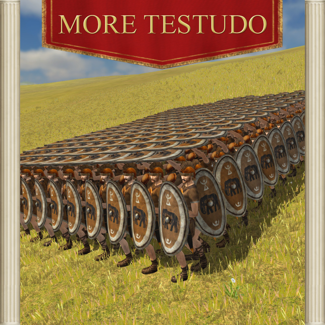 More Testudo
