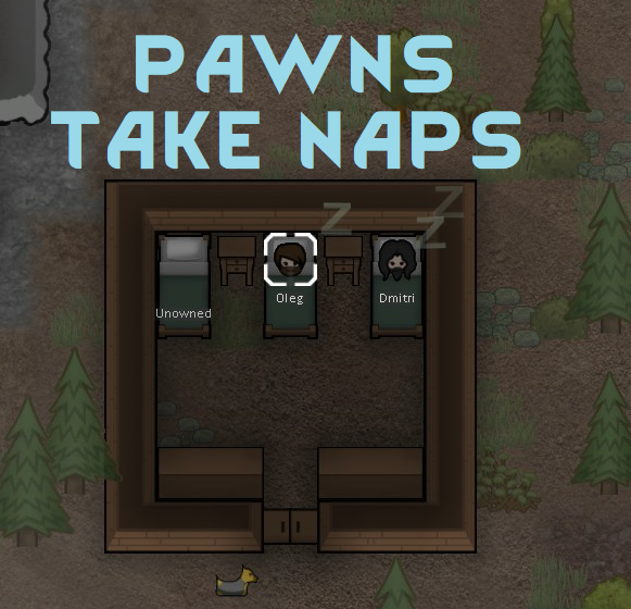 Pawns Take Naps