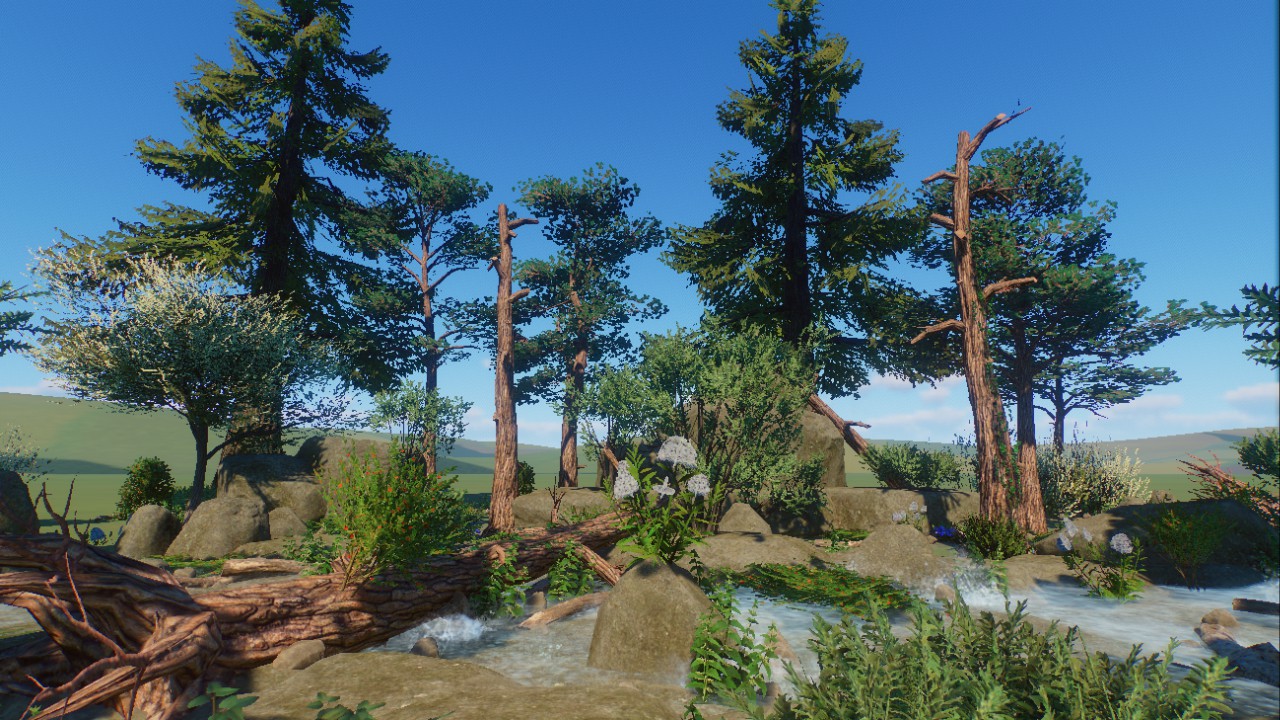 Forest Scenery 13