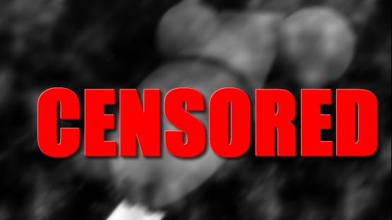 DE_PENIS – Counter-Strike 2 Mod