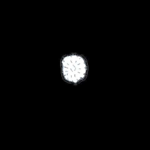 mushroom06