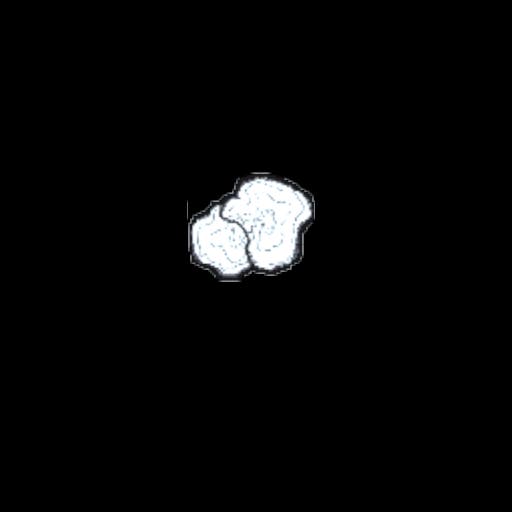 mushroom17