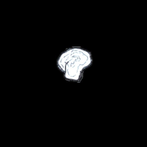 mushroom18