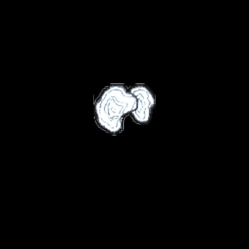 mushroom19