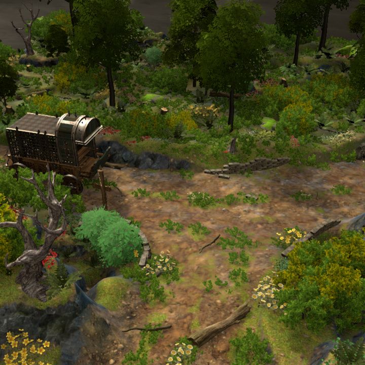 Road Encounter