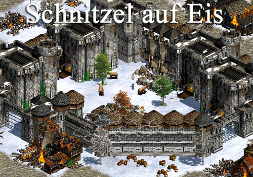 Schnitzel auf Eis / Frozen Schnitzel