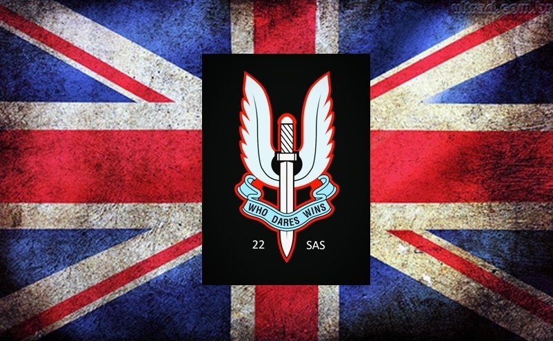 SAS - MISSING STINGERS