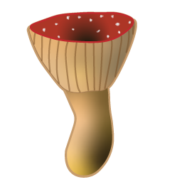 HealShroom Expanded